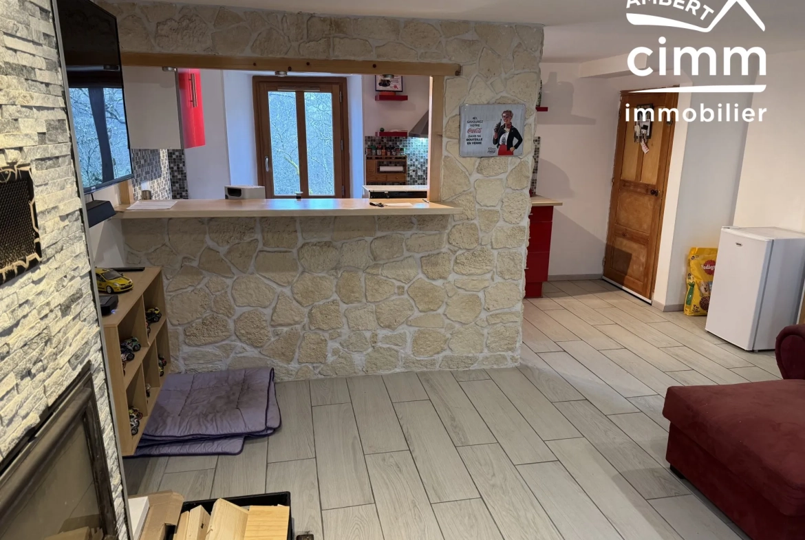 Achat ensemble de deux maisons mitoyennes à Ambert avec garages et jardin, idéal investisseur 