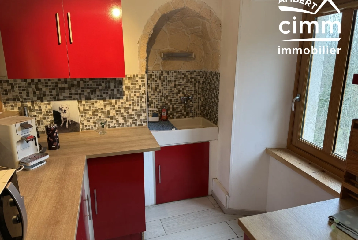 Achat ensemble de deux maisons mitoyennes à Ambert avec garages et jardin, idéal investisseur 