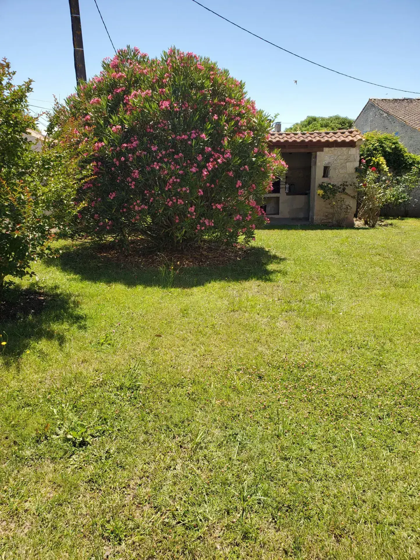 Charmante maison charentaise avec dépendances et jardin proche Royan 