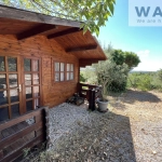 A vendre terrain de loisir avec oliviers à Saint Jean de Fos 34150