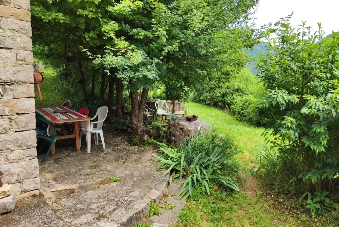 Maison ancienne en pierre avec jardin à Vesc, idéal pour amoureux d’authenticité 