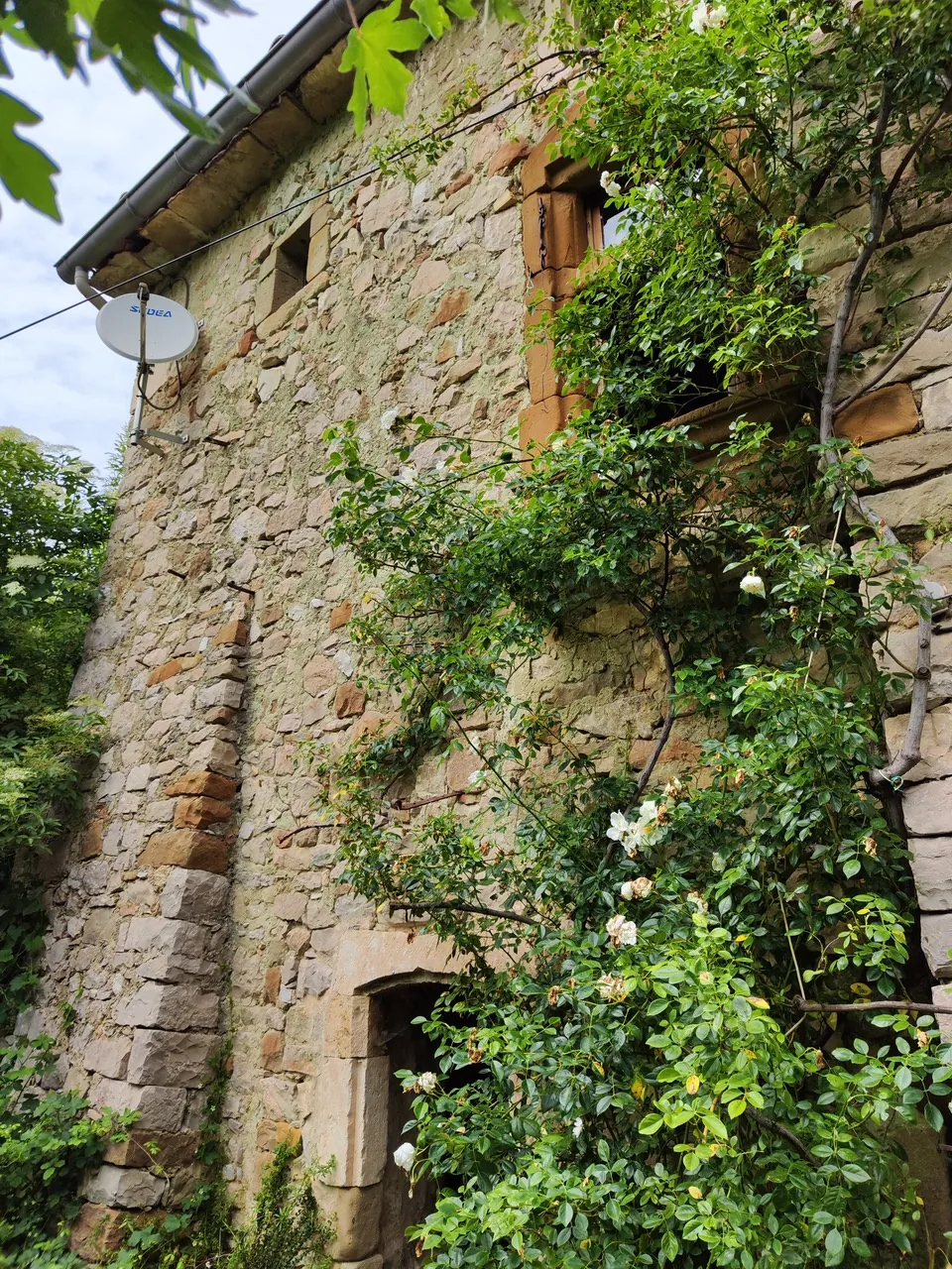 Maison ancienne en pierre avec jardin à Vesc, idéal pour amoureux d’authenticité 