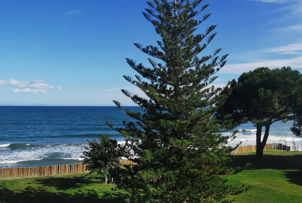Charmant studio avec vue imprenable sur la mer à Moriani, excellent potentiel locatif 