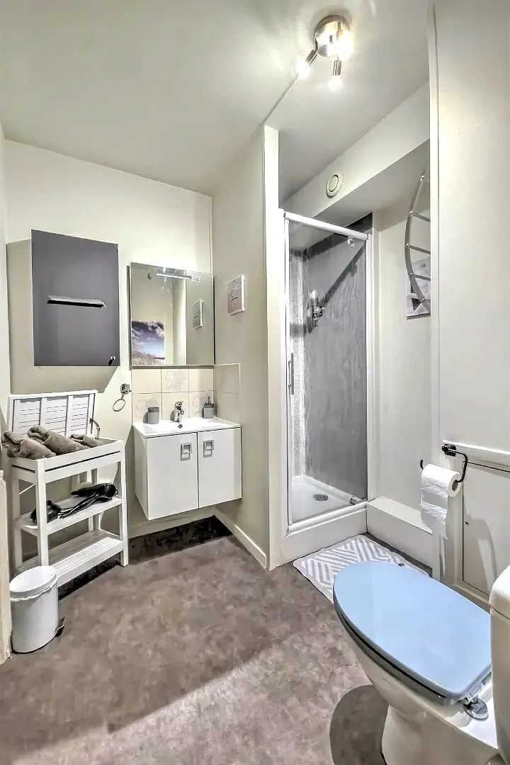 Studio meublé de 36 m² à Limoges, secteur Ester - Bois de la Bastide, avec parking sécurisé 