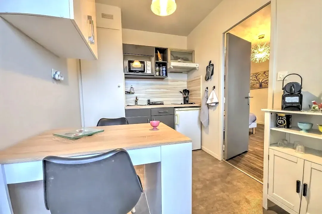Studio meublé de 36 m² à Limoges, secteur Ester - Bois de la Bastide, avec parking sécurisé 