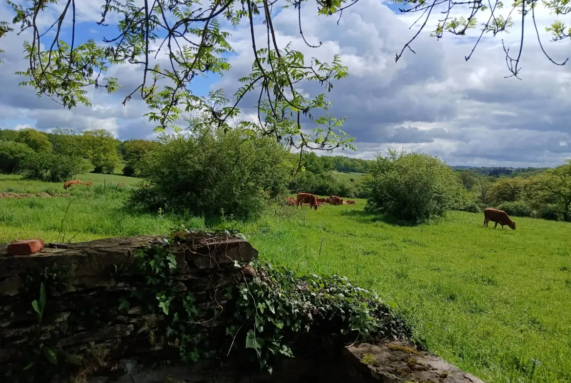 Domaine unique à Préveranges avec maison, bâtiments et terres, environnement naturel exceptionnel 