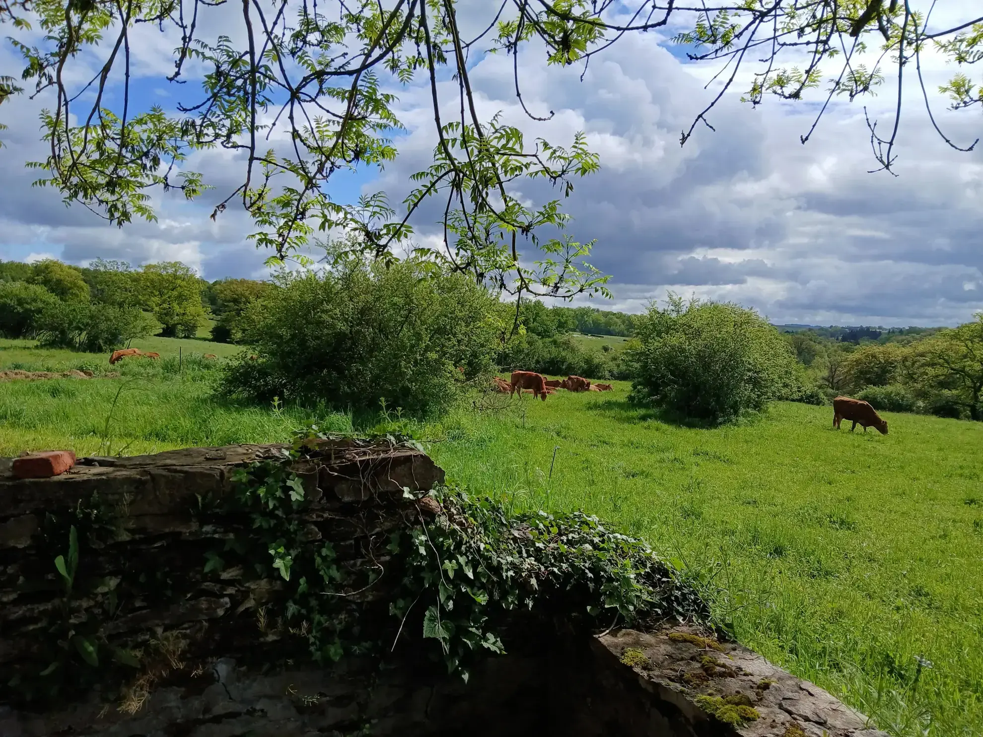 Domaine unique à Préveranges avec maison, bâtiments et terres, environnement naturel exceptionnel 