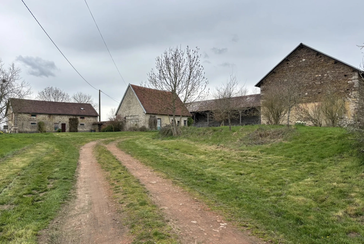 Domaine unique à Préveranges avec maison, bâtiments et terres, environnement naturel exceptionnel 