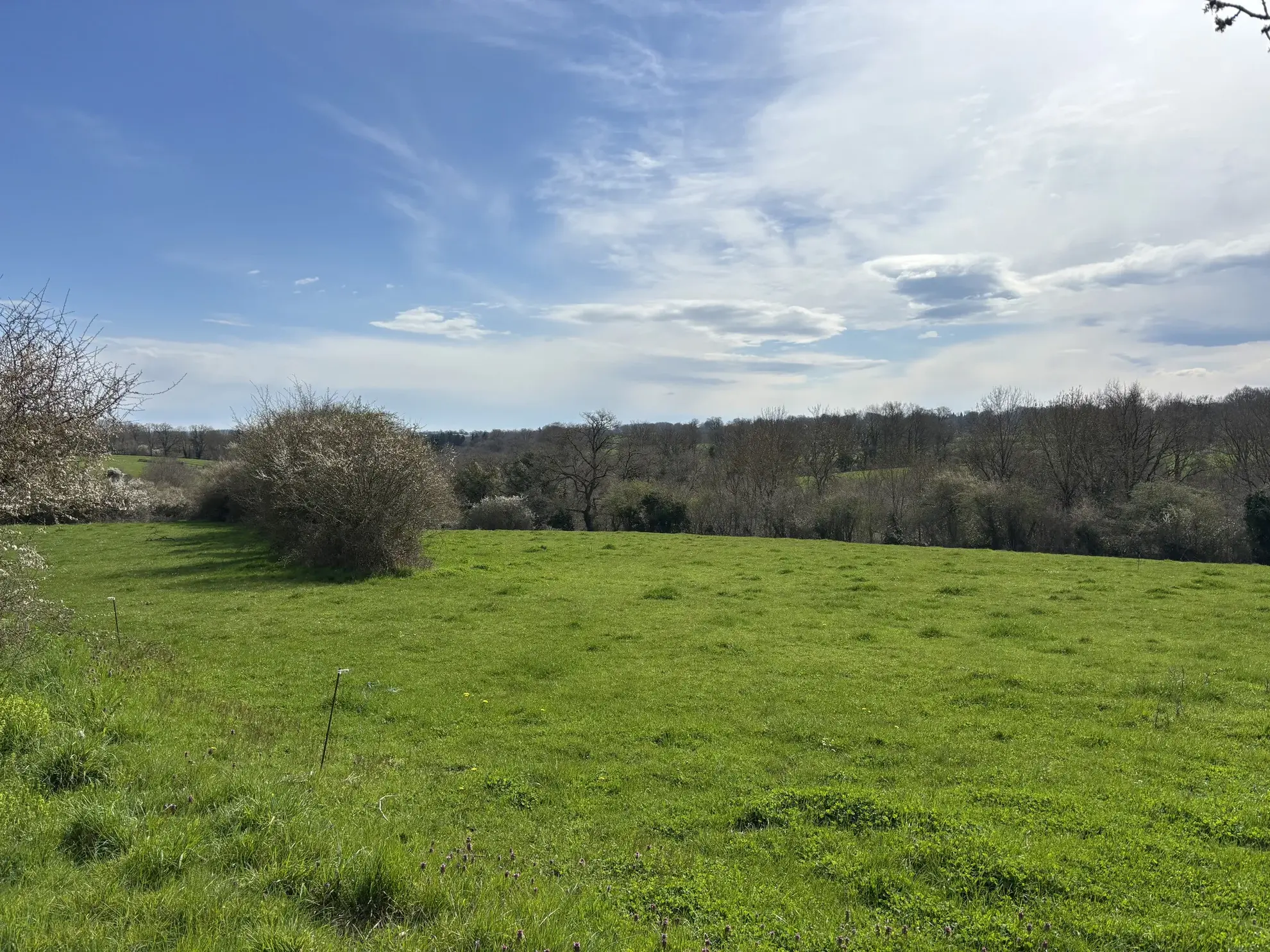 Domaine unique à Préveranges avec maison, bâtiments et terres, environnement naturel exceptionnel 