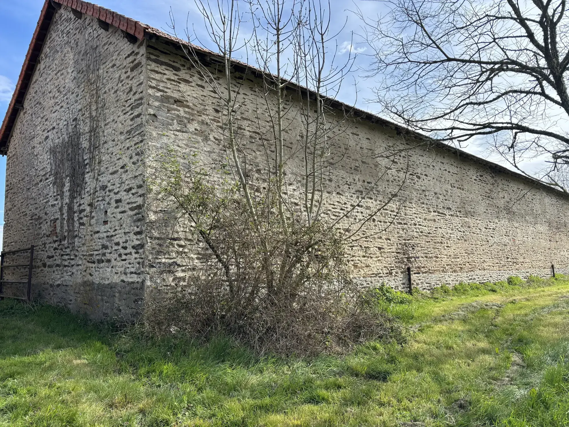 Domaine unique à Préveranges avec maison, bâtiments et terres, environnement naturel exceptionnel 