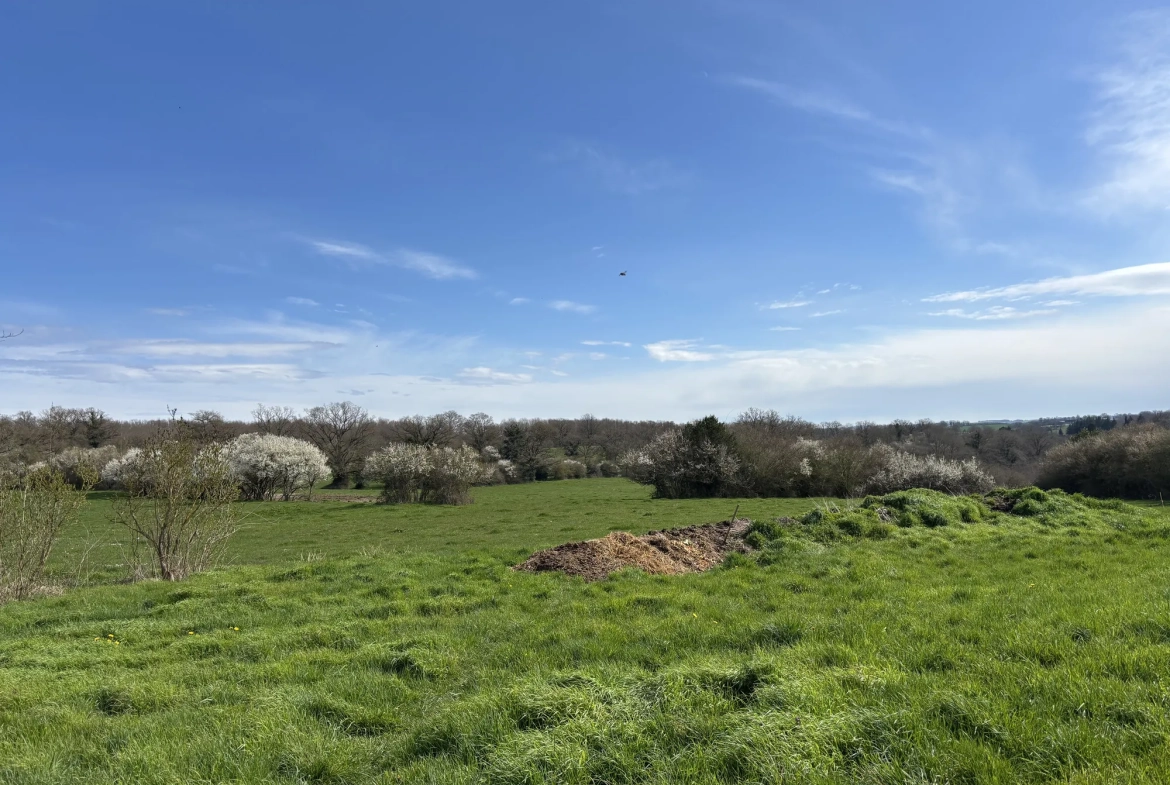 Domaine unique à Préveranges avec maison, bâtiments et terres, environnement naturel exceptionnel 