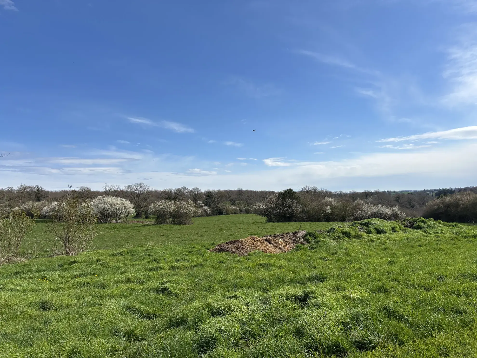 Domaine unique à Préveranges avec maison, bâtiments et terres, environnement naturel exceptionnel 