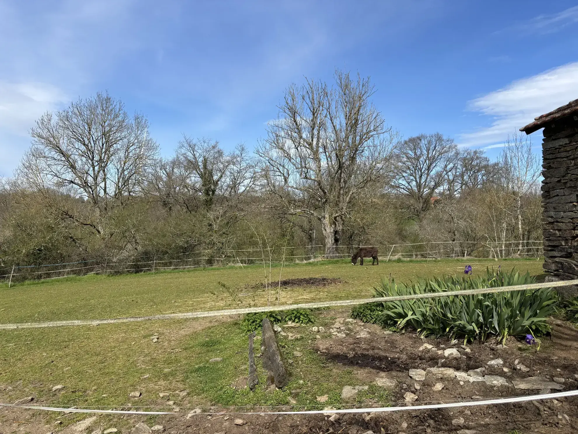 Domaine unique à Préveranges avec maison, bâtiments et terres, environnement naturel exceptionnel 