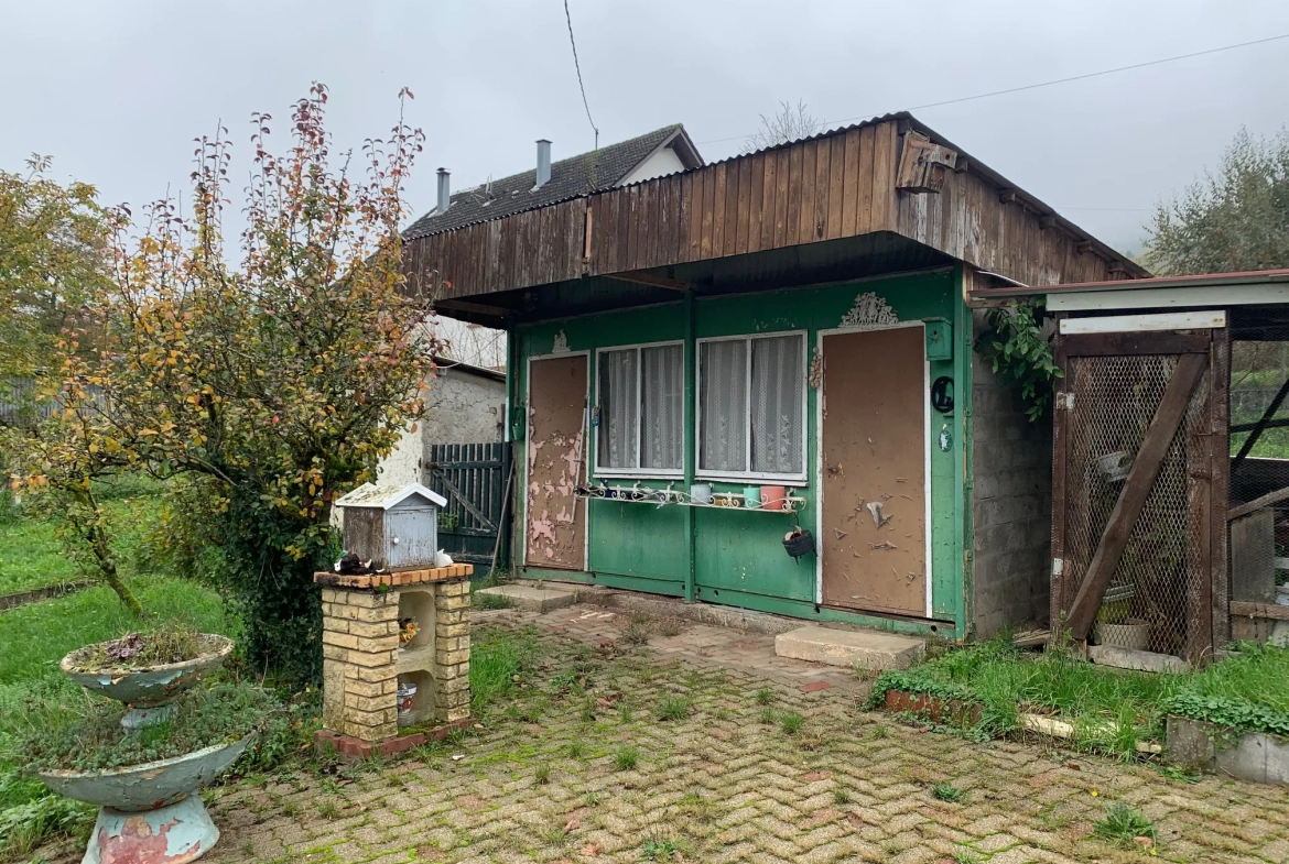 Maison individuelle de 103 m² à Eckartswiller avec garage et terrasse 