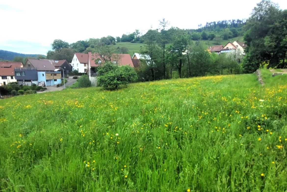 Terrain constructible de 1506 m² à Munster avec vue et proximité Colmar 