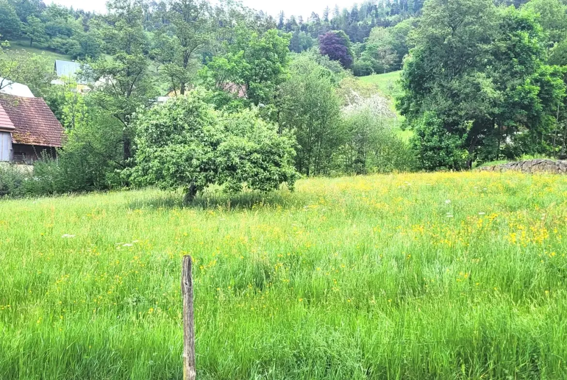 Terrain constructible de 1506 m² à Munster avec vue et proximité Colmar 