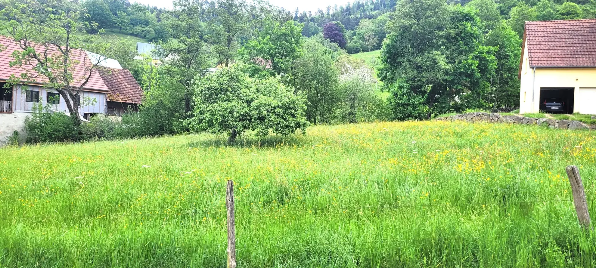 Terrain constructible de 1506 m² à Munster avec vue et proximité Colmar 
