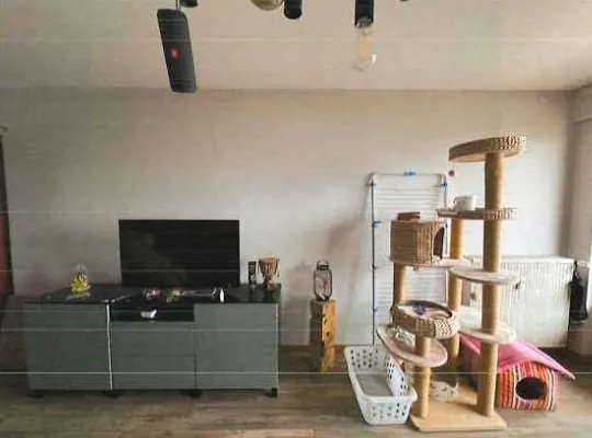 Appartement à vendre à Dijon lors d'une vente aux enchères - 2 chambres et parking 