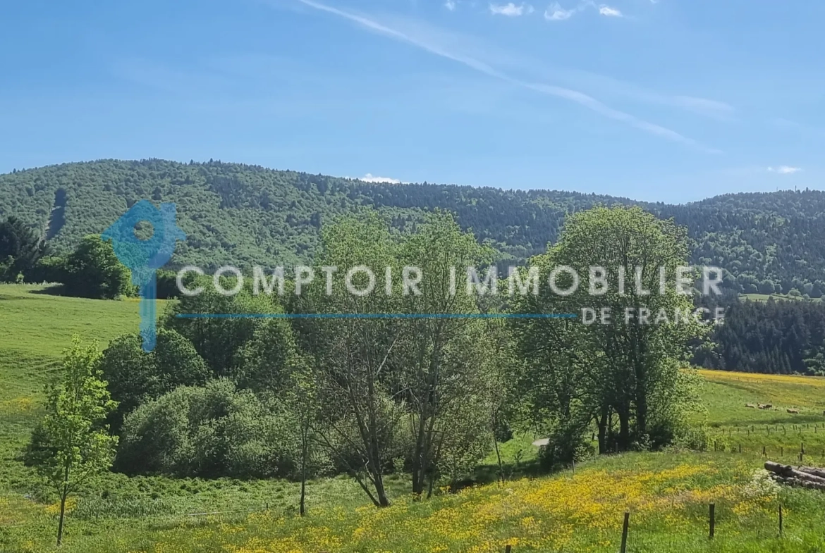 Maison ardéchoise rénovée avec terrain proche du lac d’Issarles 