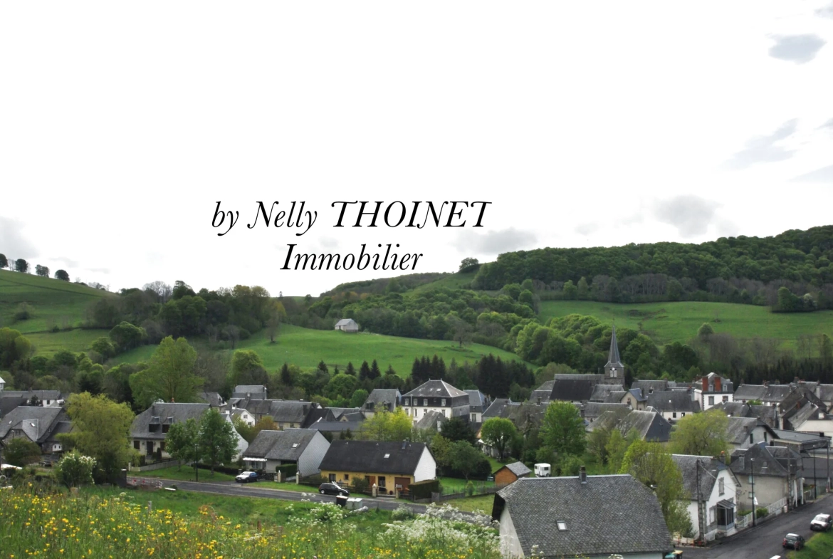 Terrain à bâtir de 2547 m² à Egliseneuve d'Entraigues, vue dégagée et environnement calme 