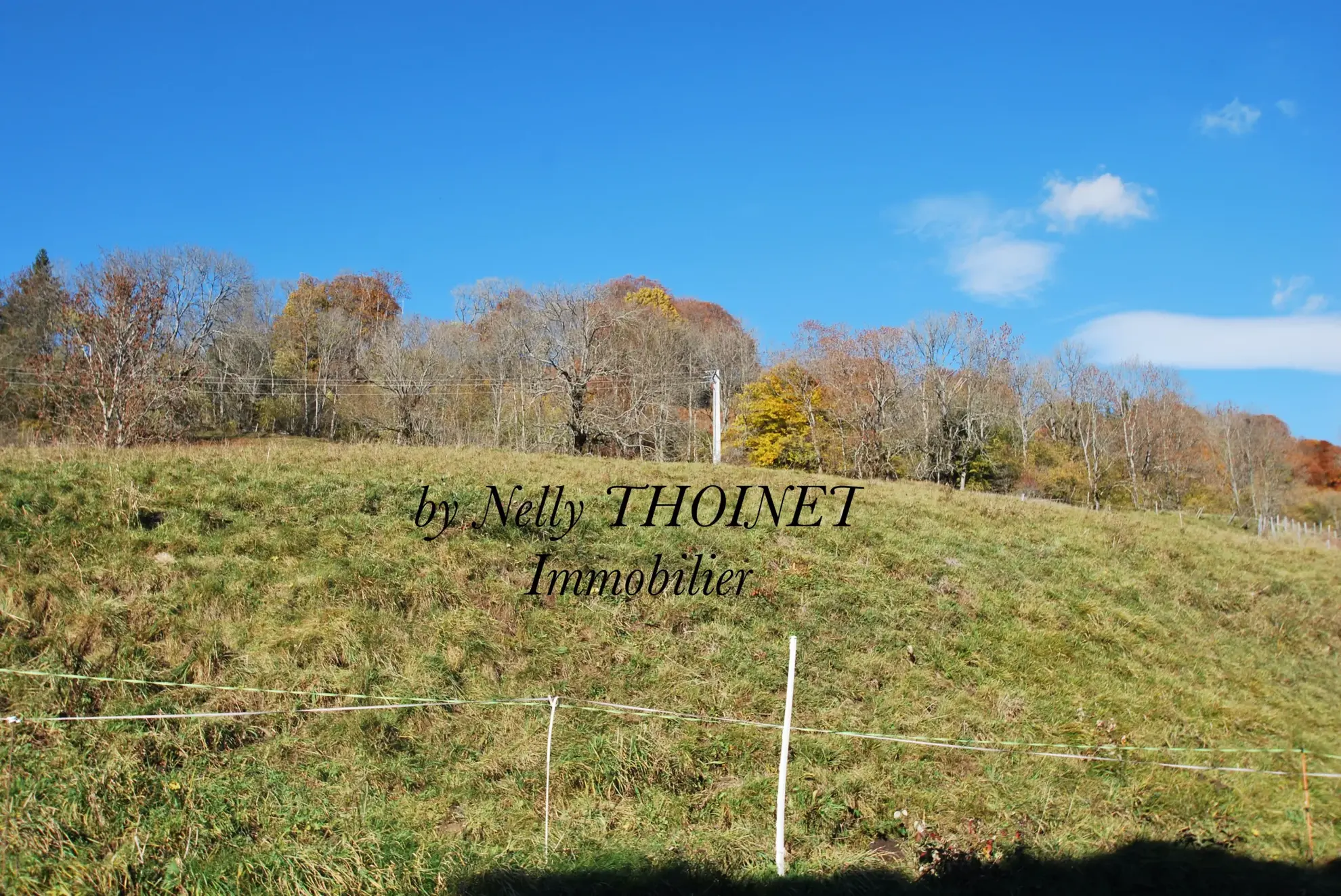 Terrain à bâtir de 2547 m² à Egliseneuve d'Entraigues, vue dégagée et environnement calme 