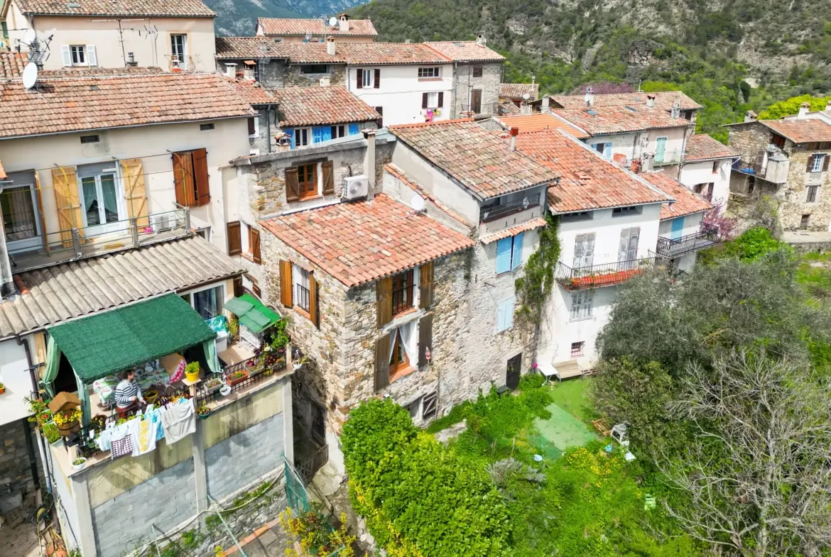 Charmante maison de village de 80 m² à La Tour-sur-Tinée avec vue montagne 