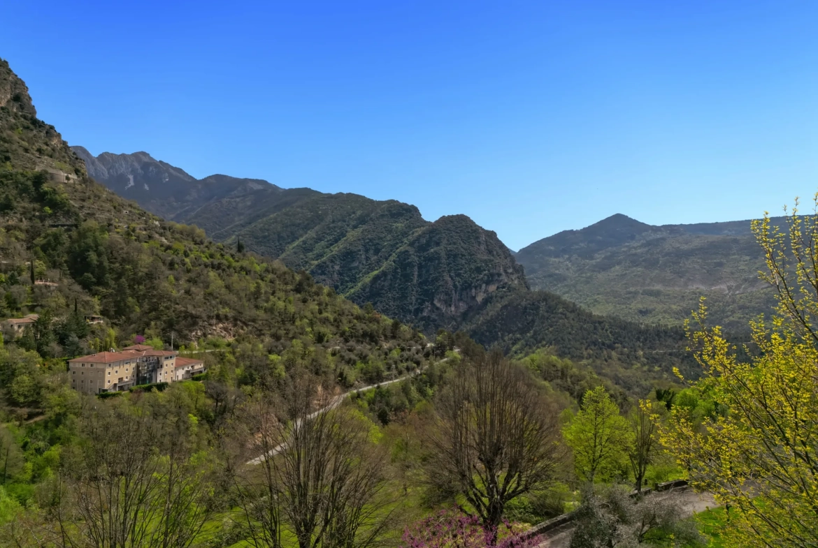 Charmante maison de village de 80 m² à La Tour-sur-Tinée avec vue montagne 