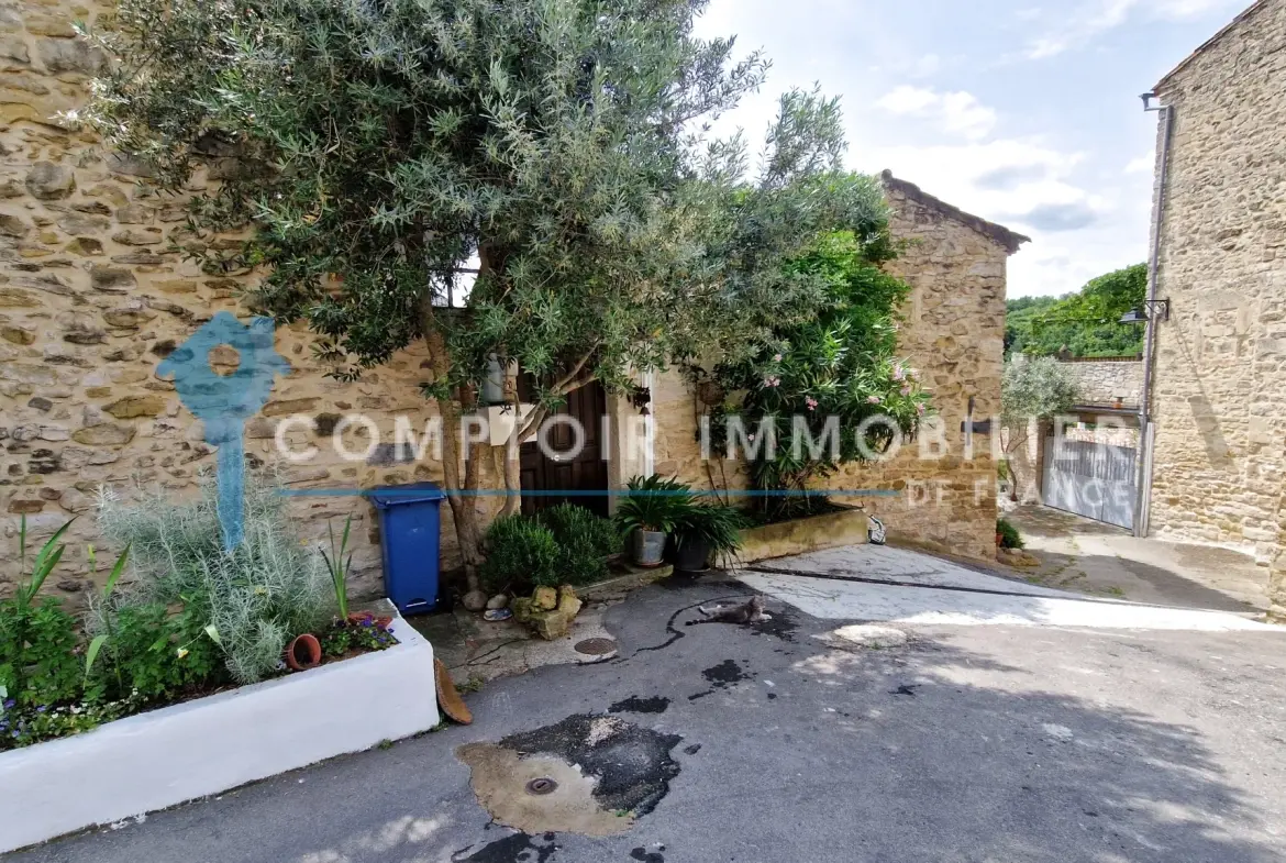 Belle maison de village avec dépendance et vue dans le Gard 