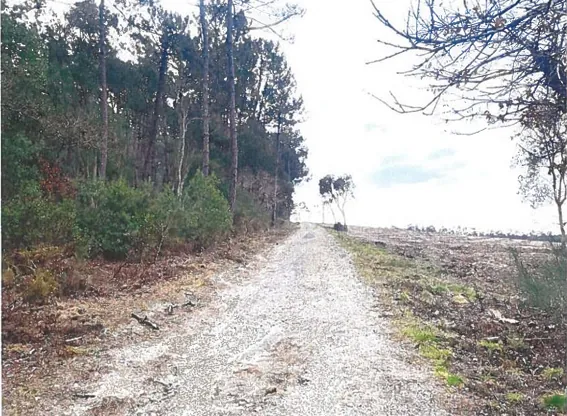 Terrain de 10 000 m² en vente aux enchères à Lit-et-Mixe à partir de 6 000 € 
