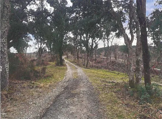 Terrain de 10 000 m² en vente aux enchères à Lit-et-Mixe à partir de 6 000 € 