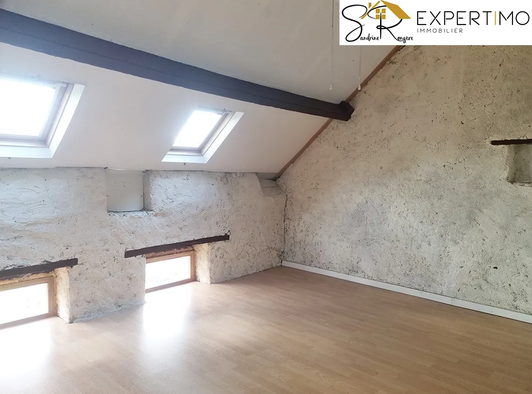 Charmante maison avec dépendances et grand terrain à Servant (63560) 