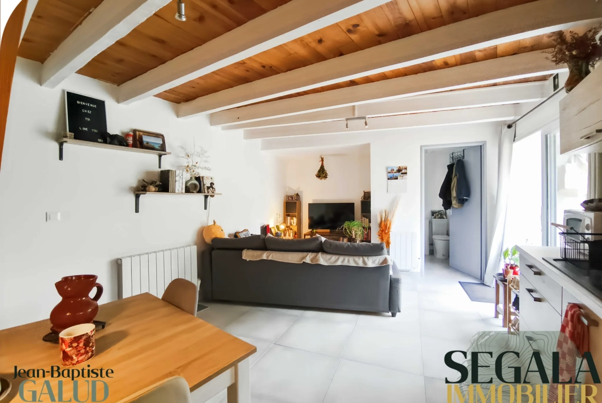 Maison rénovée à Cestayrols, idéal investissement locatif dans le triangle d'or 