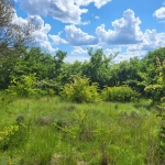 Terrain à bâtir de 1300m² à Ners - Quartier résidentiel au calme