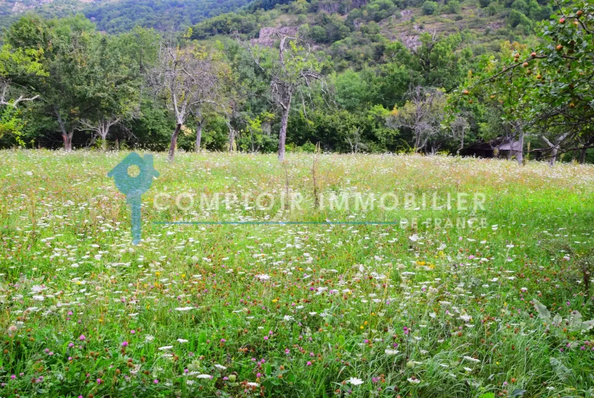 Grange en pierre à Montpezat-sous-Bauzon, terrain de 2835 m², à rénover pour votre projet immobilier 