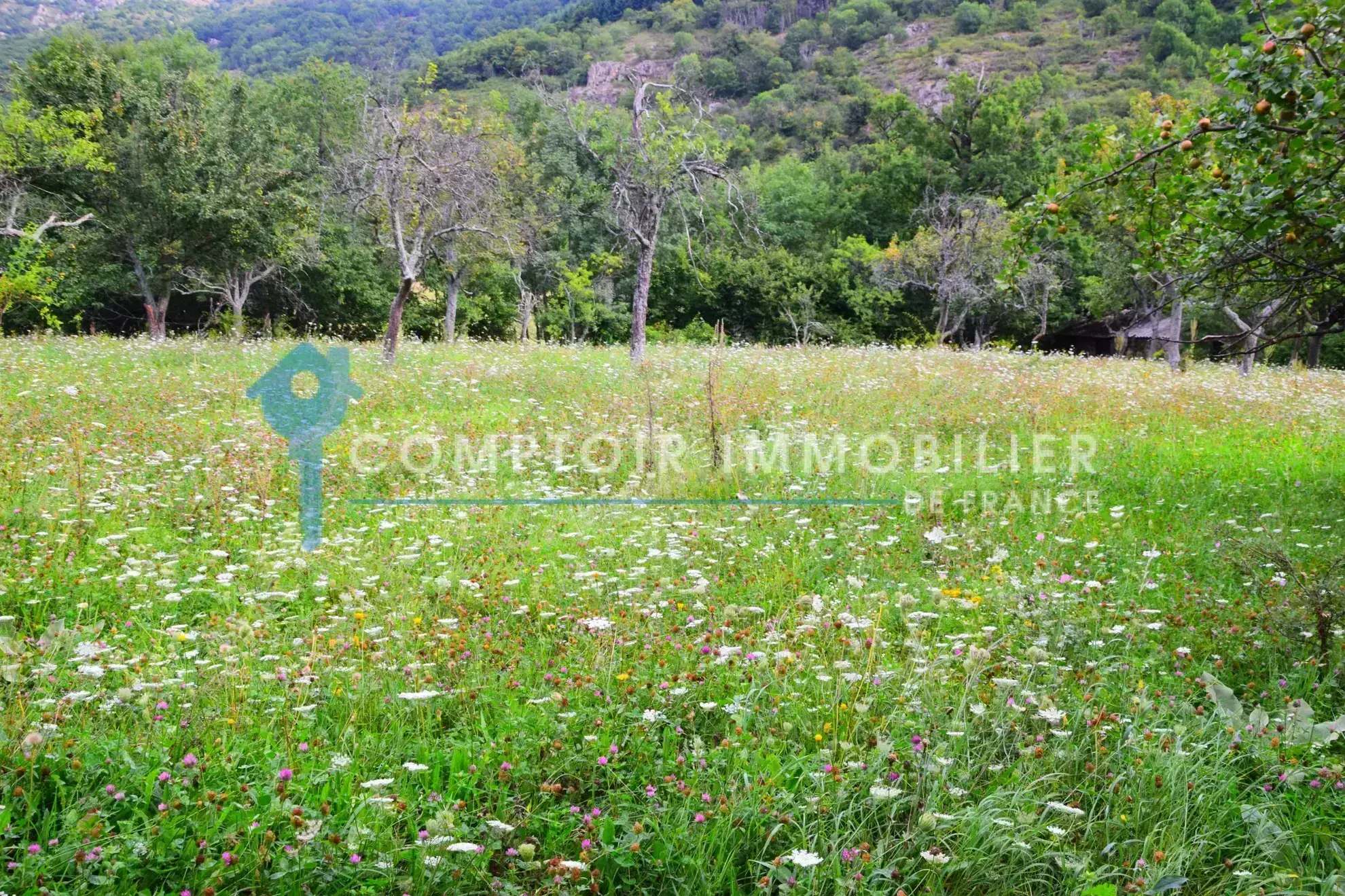Grange en pierre à Montpezat-sous-Bauzon, terrain de 2835 m², à rénover pour votre projet immobilier 