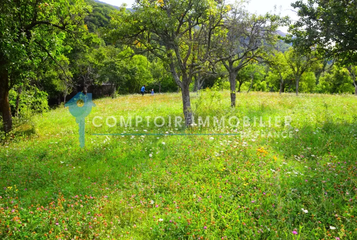 Grange en pierre à Montpezat-sous-Bauzon, terrain de 2835 m², à rénover pour votre projet immobilier 