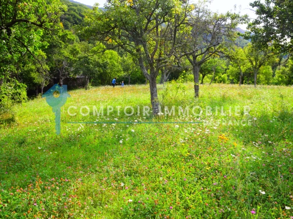 Grange en pierre à Montpezat-sous-Bauzon, terrain de 2835 m², à rénover pour votre projet immobilier