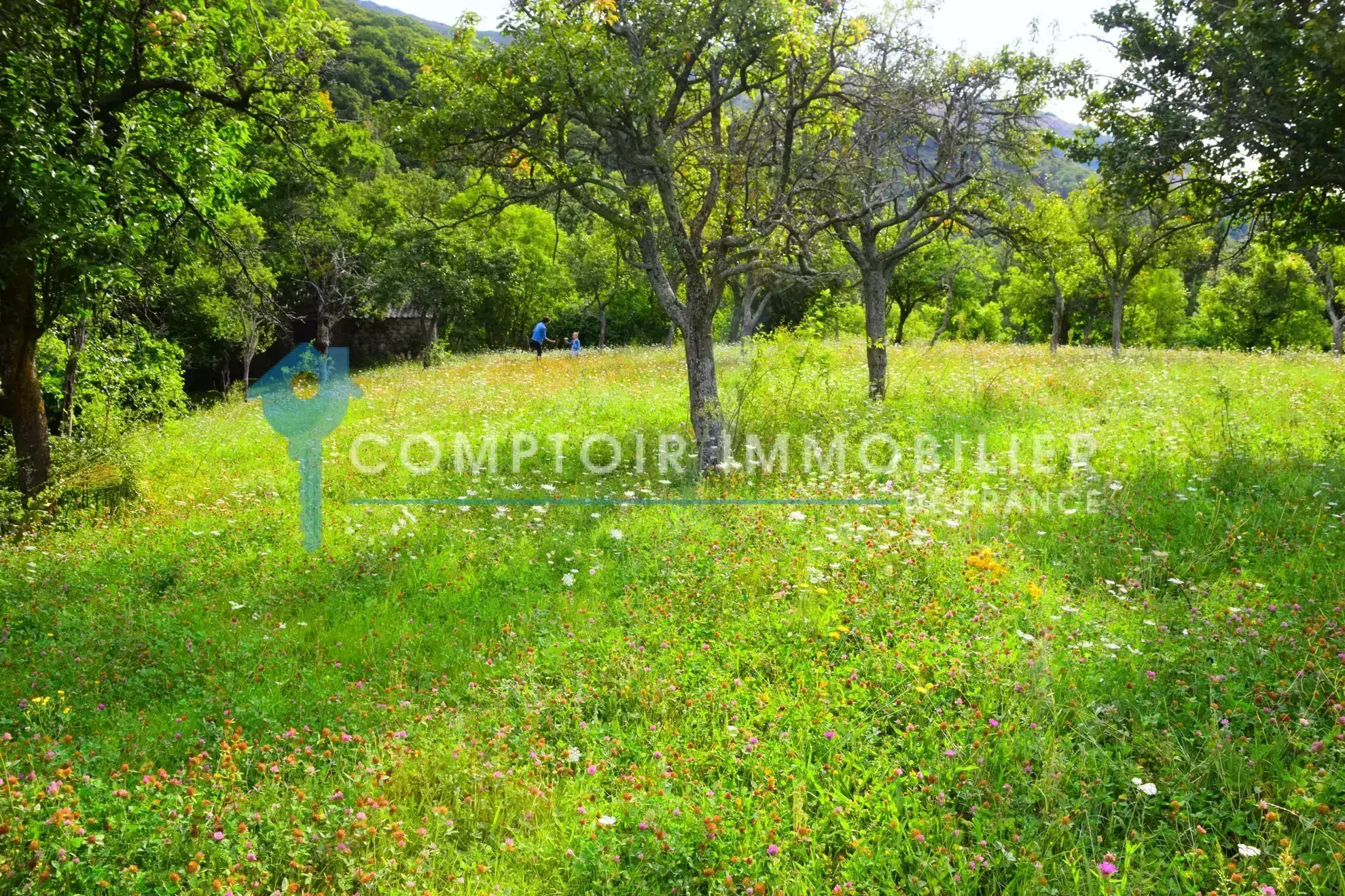 Grange en pierre à Montpezat-sous-Bauzon, terrain de 2835 m², à rénover pour votre projet immobilier 