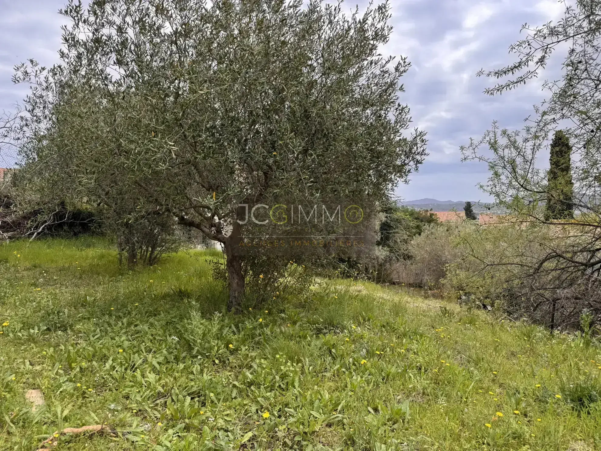 Terrain constructible de 500 m² à Ollioules, emplacement privilégié 