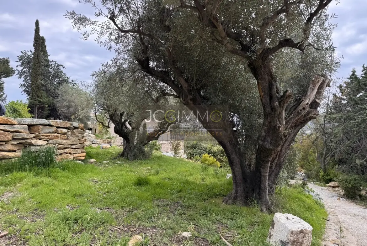 Terrain constructible de 500 m² à Ollioules, emplacement privilégié 