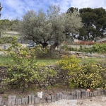 Terrain constructible de 500 m² à Ollioules, emplacement privilégié