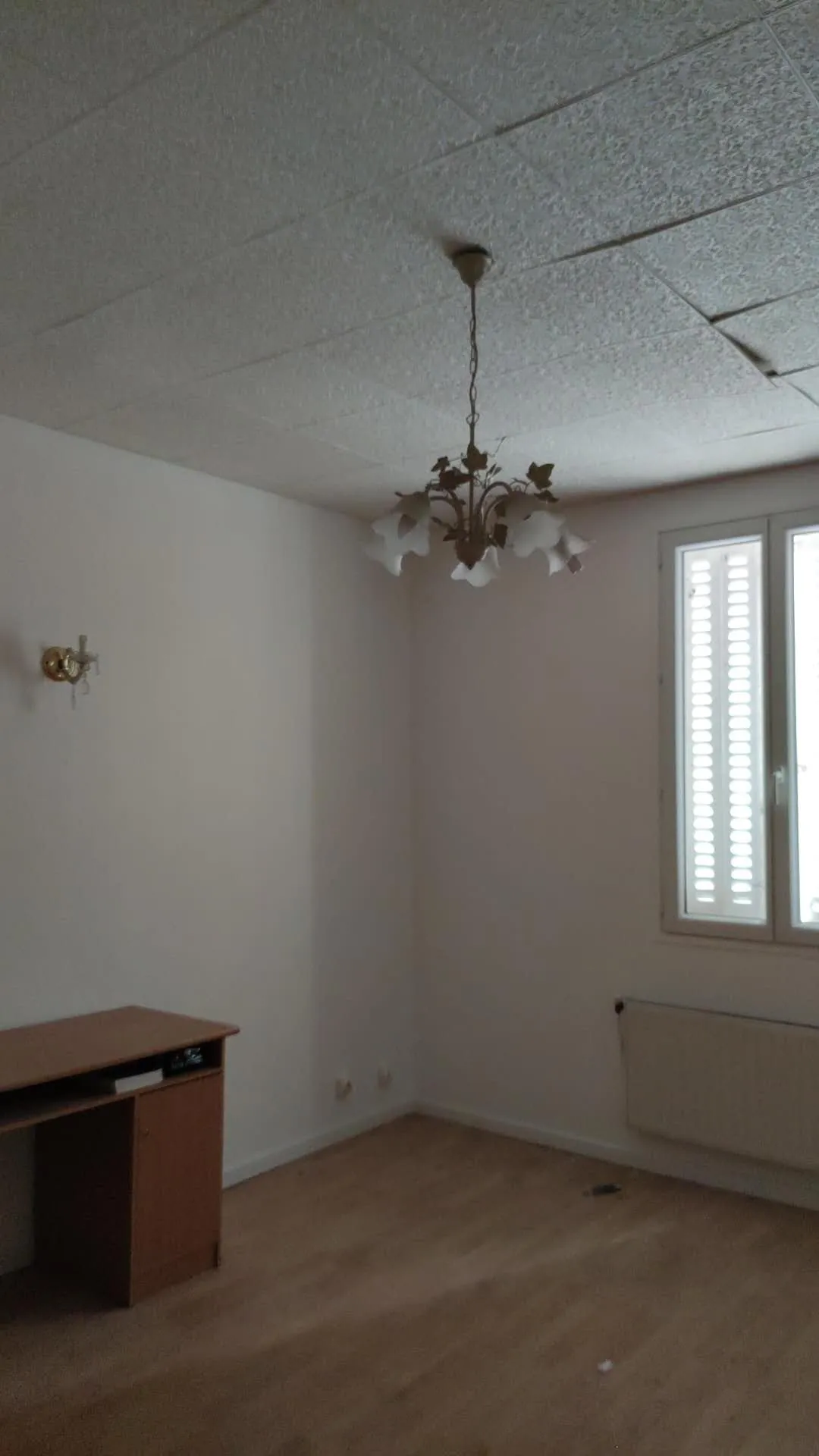 Local commercial et appartement à vendre à MEHUN-SUR-YEVRE - Opportunité d'investissement 