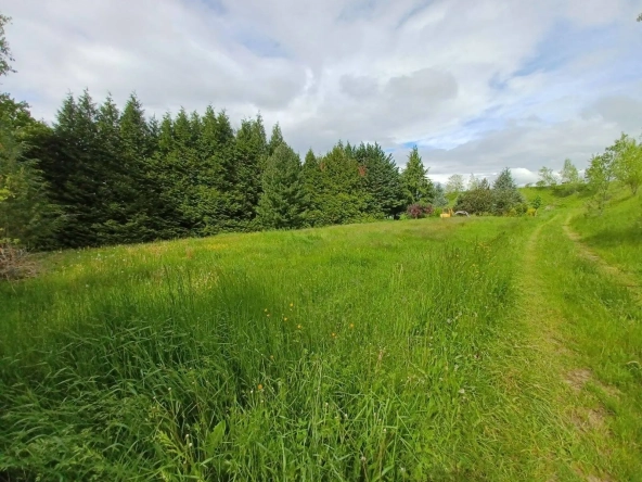 Terrain constructible de 441 m² à Copponex, idéal pour construire votre maison