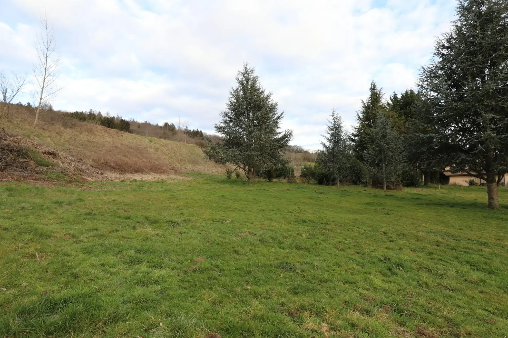 Terrain constructible de 441 m² à Copponex, idéal pour construire votre maison 