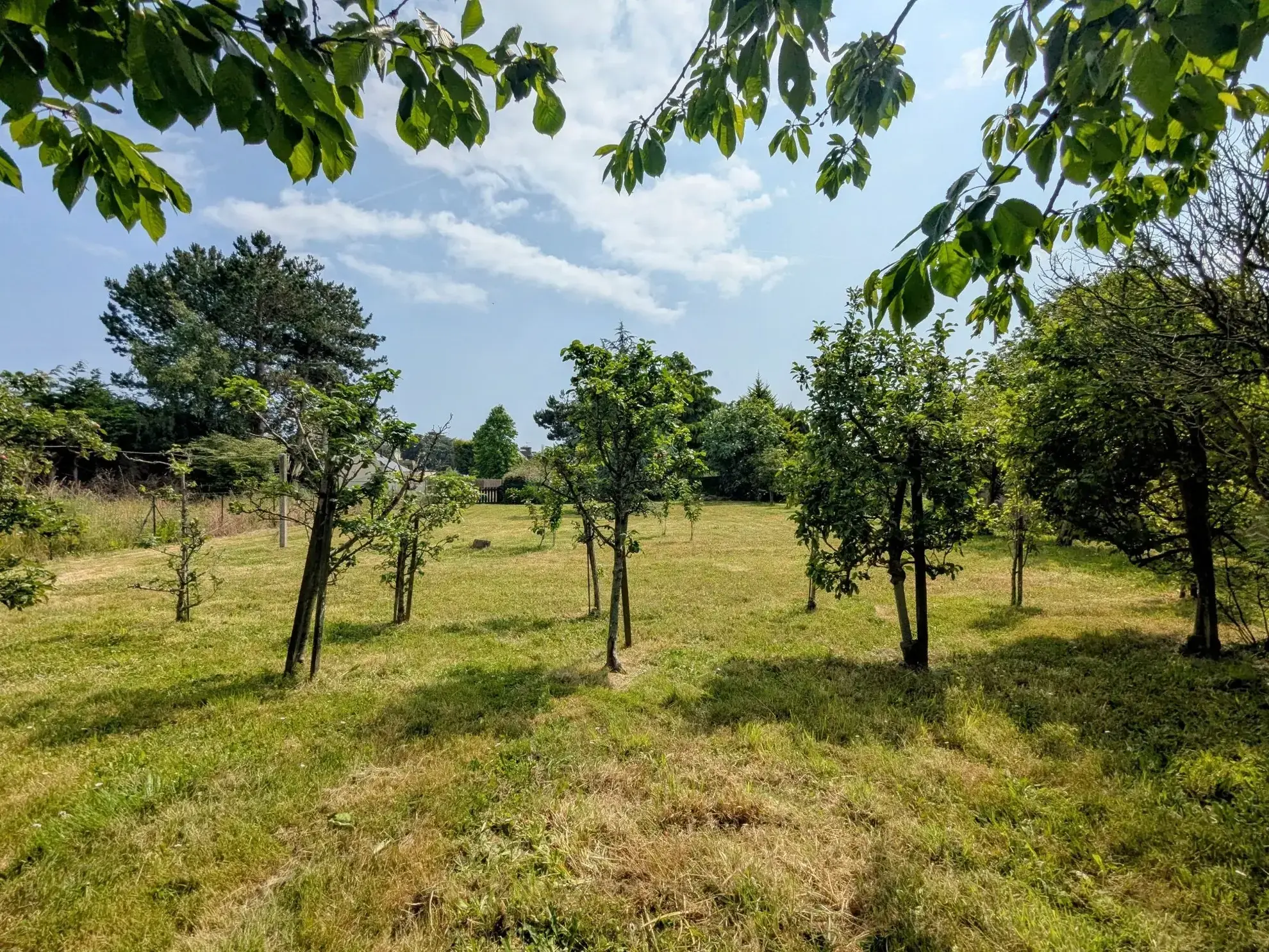 Terrain à vendre à Binic-Étables-sur-Mer - Emplacement privilégié et constructible 