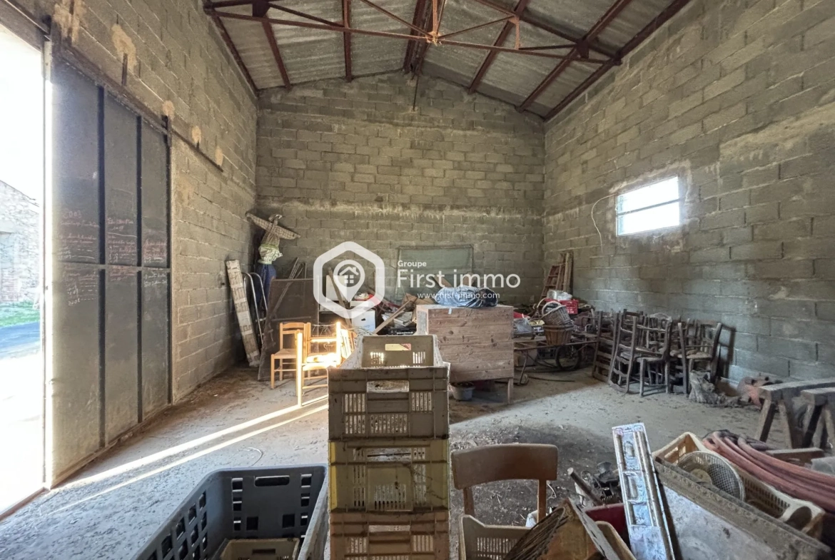 Hangar agricole à vendre à Ille-sur-Têt sur 1 761 m² de terrain 