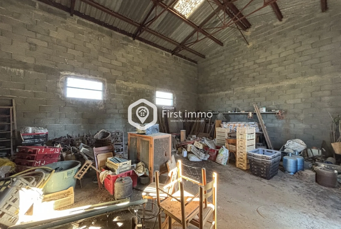 Hangar agricole à vendre à Ille-sur-Têt sur 1 761 m² de terrain 