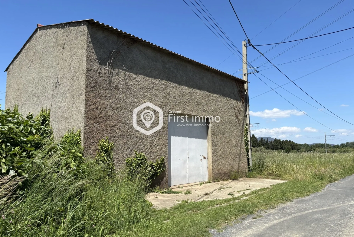 Hangar agricole à vendre à Ille-sur-Têt sur 1 761 m² de terrain 
