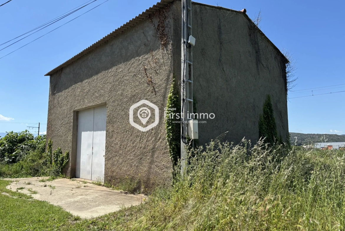 Hangar agricole à vendre à Ille-sur-Têt sur 1 761 m² de terrain 