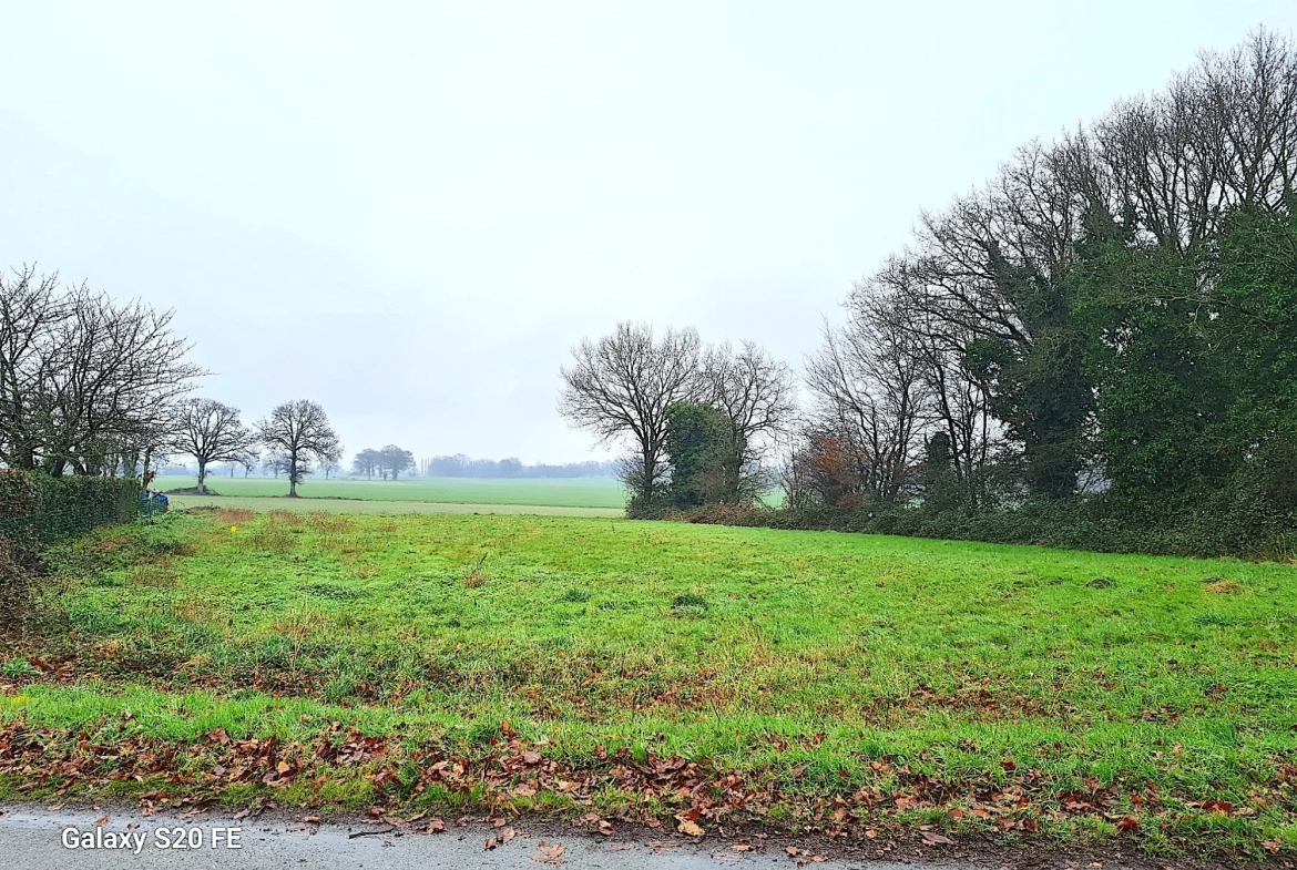 Terrain constructible à Louvigné de Bais - Libre de constructeur et idéal pour votre projet immobilier 